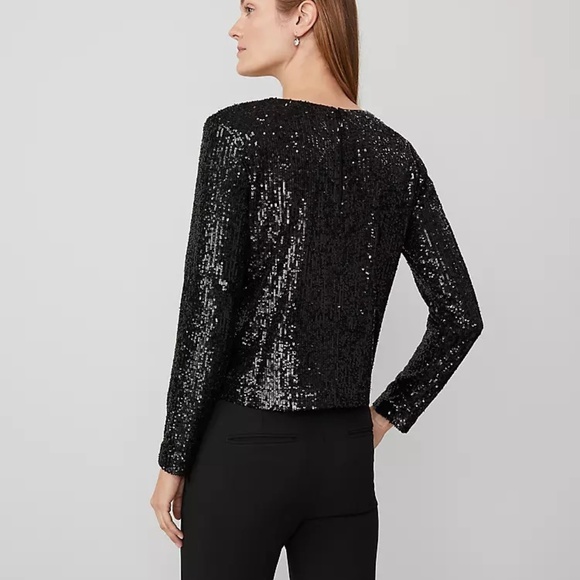 NWT Ann Taylor sequin popover PL - Picture 2 of 5